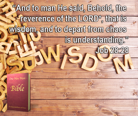 One New Man Daily Word : Job 28:28