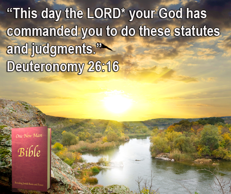 One New Man Daily Word : Deuteronomy 26:16