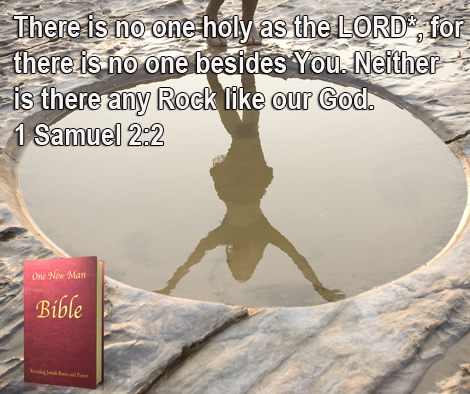 One New Man Daily Word : 1 Samuel 2:2