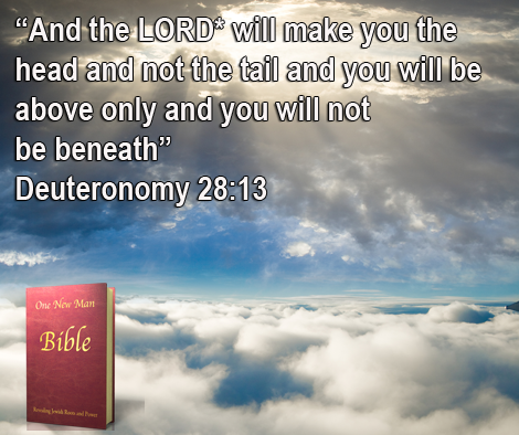 One New Man Daily Word : Deuteronomy 28:13