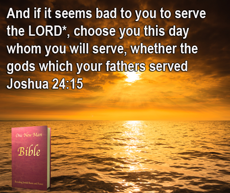 One New Man Daily Word : Joshua 24:15